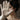 Close-up of an eye glimpsed behind a white glove and curly hair. Velvet Refusal