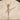 Close-up of a ballerina in a white tutu balancing on tiptoe with her arms raised. The Matinée Hush
