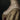 Close-up of a neck with a pearl necklace and an embroidered gold dress. Pearl & Pride