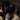 Close-up of a man and a woman with a black hat in front of their faces, hair and ears visible. Brim of Discretion